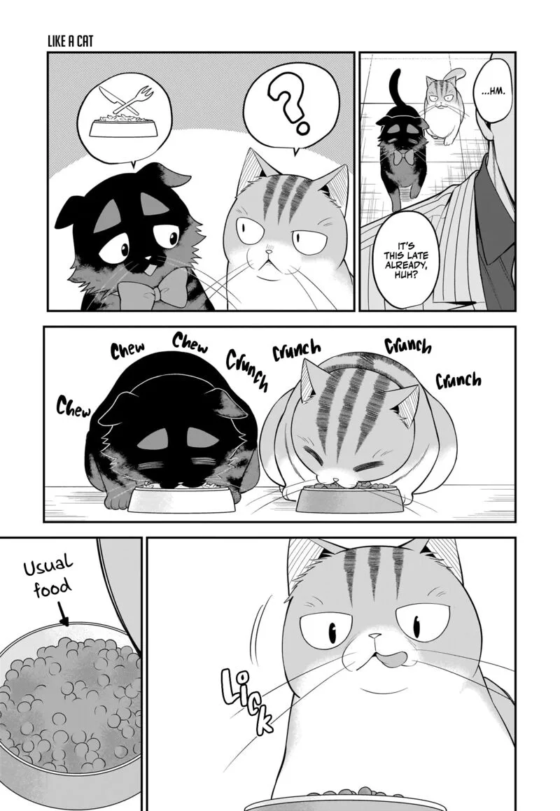 Neko ga Gotoku Chapter 35 page 6