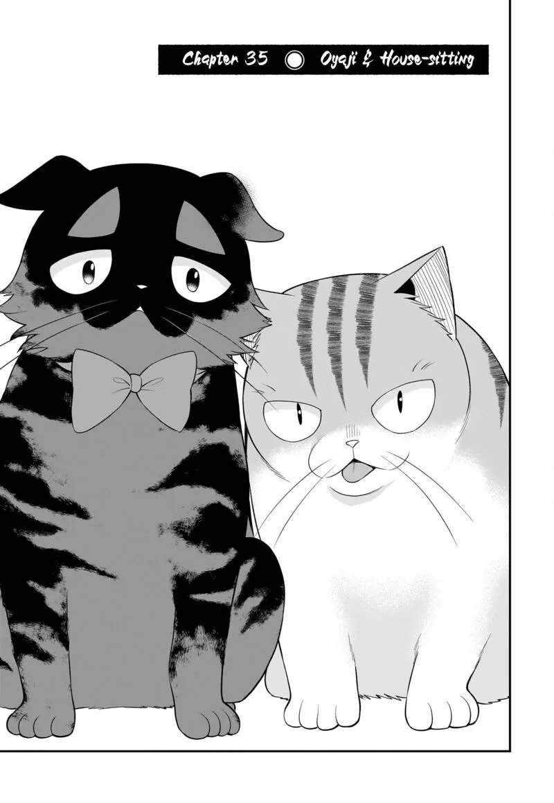 Neko ga Gotoku Chapter 35 page 4