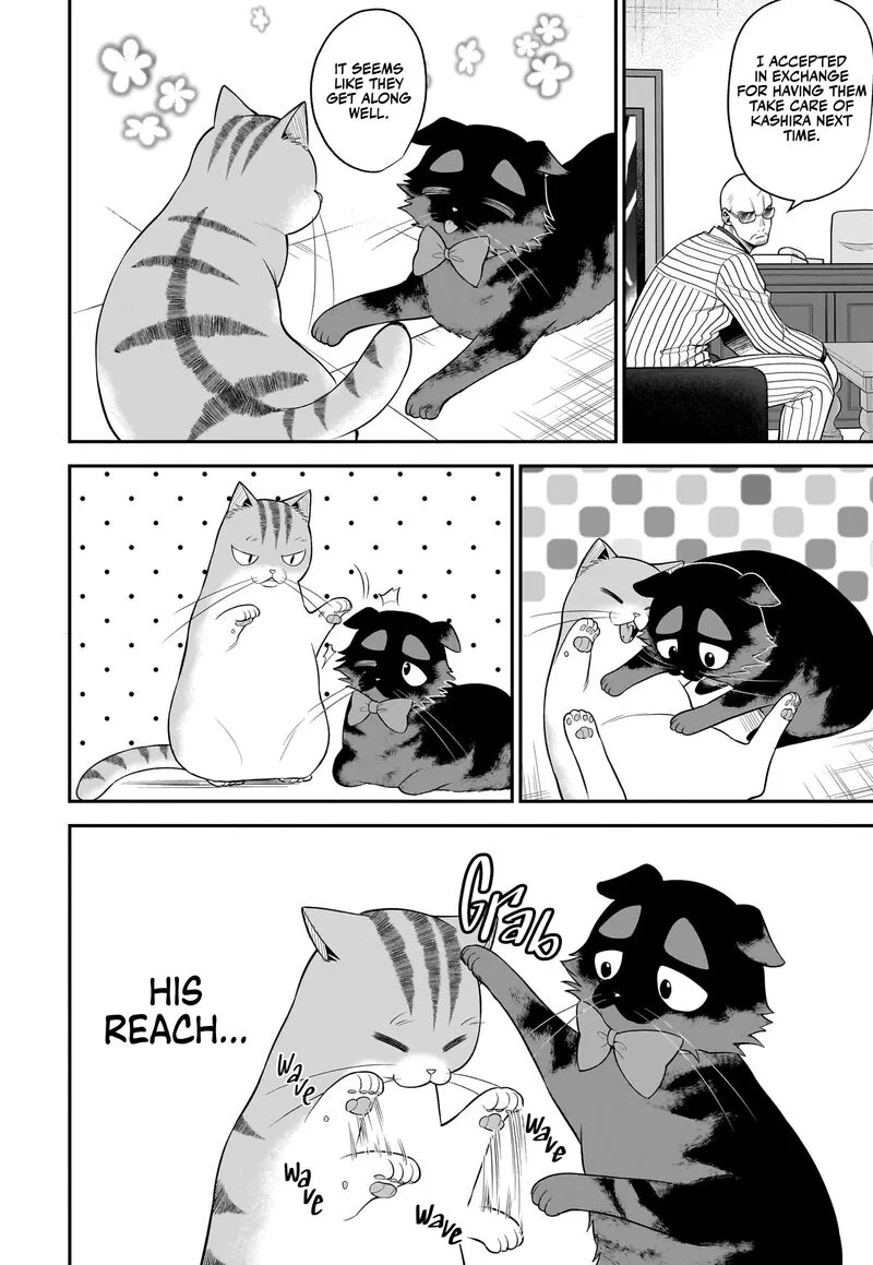 Neko ga Gotoku Chapter 35 page 5