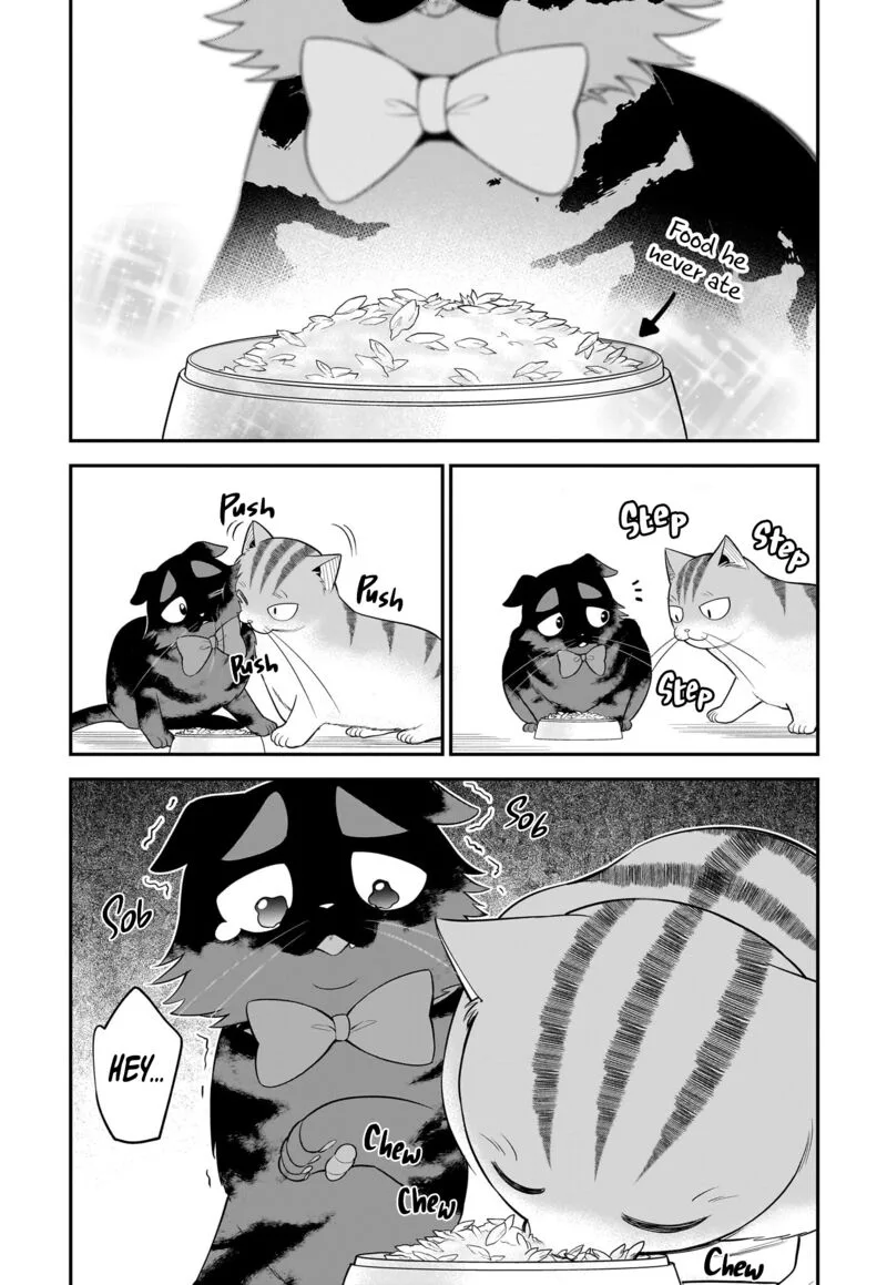 Neko ga Gotoku Chapter 35 page 7