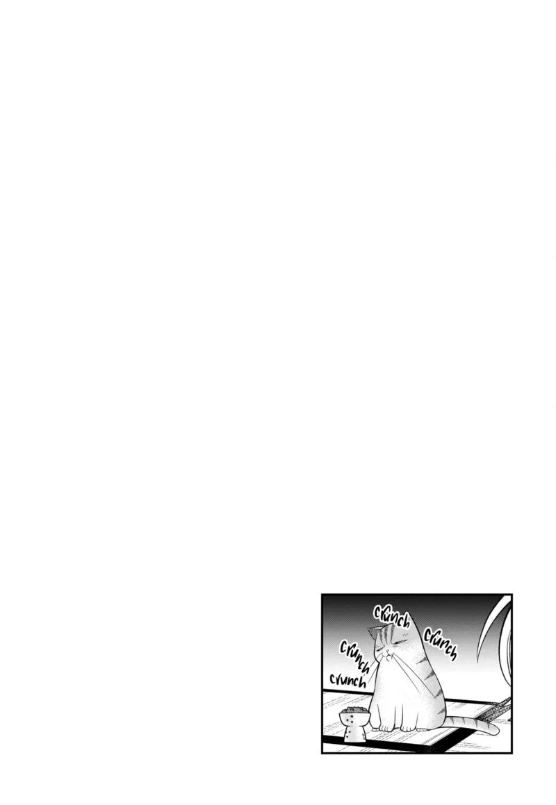 Neko ga Gotoku Chapter 36 page 11