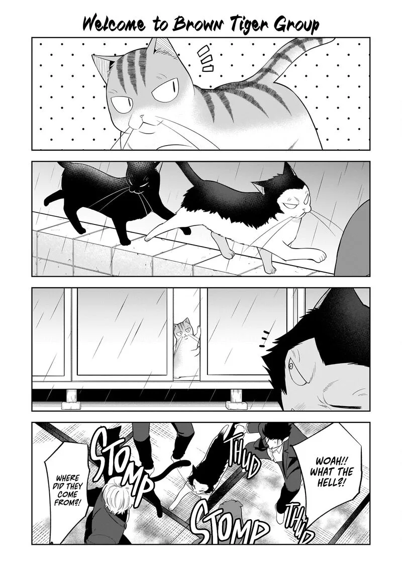 Neko ga Gotoku Chapter 37 page 9