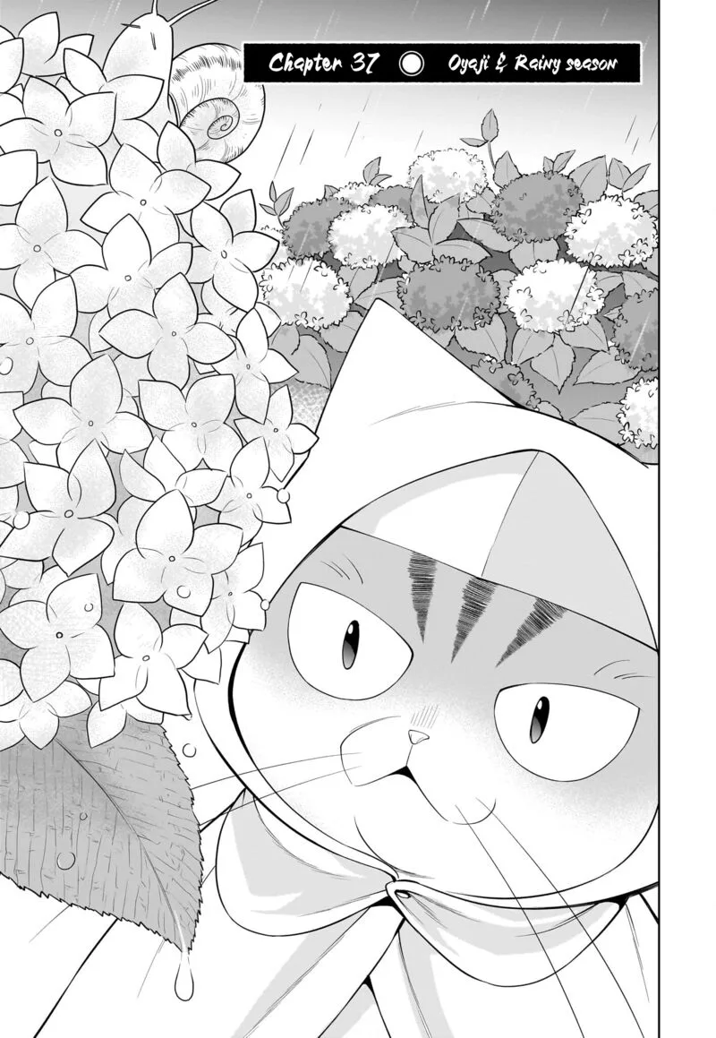 Neko ga Gotoku Chapter 37 page 4