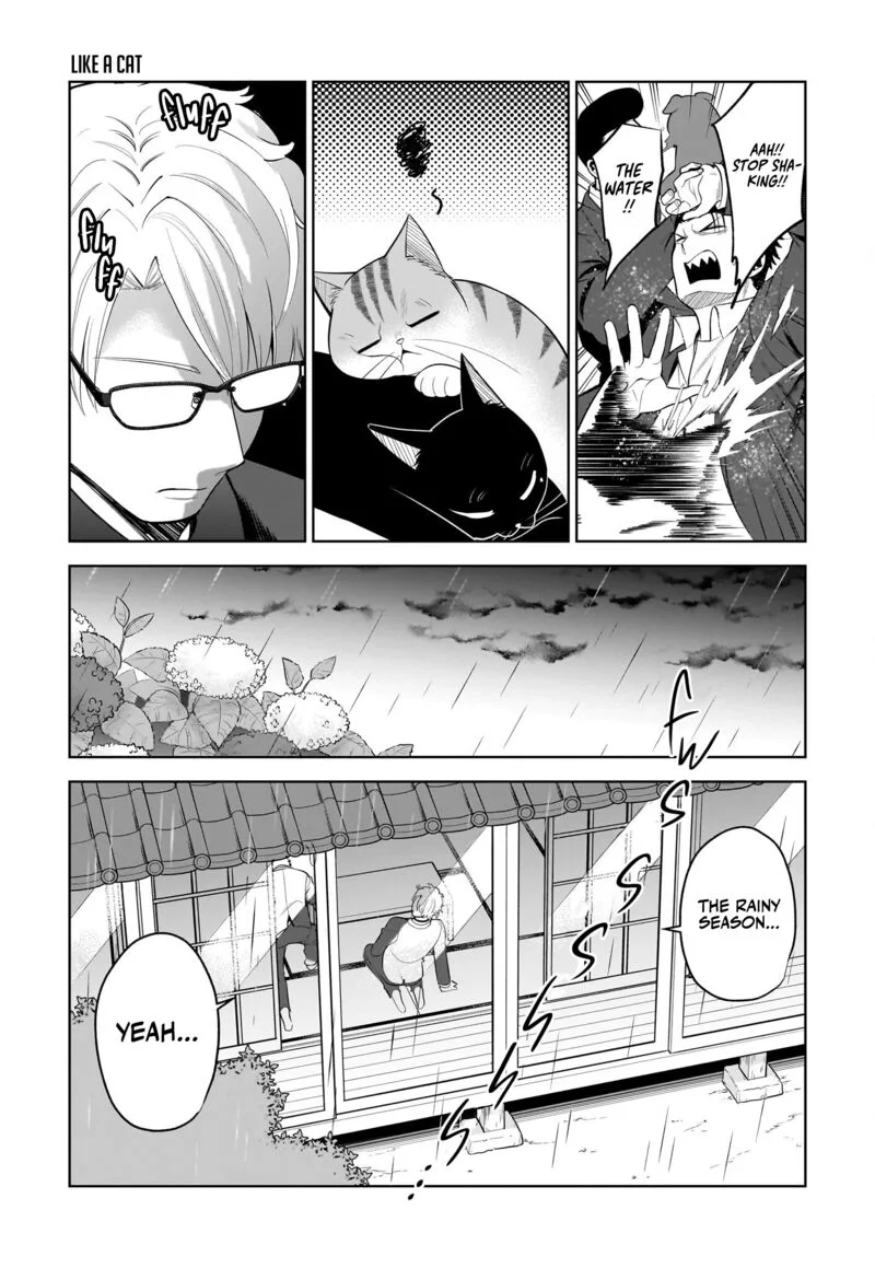 Neko ga Gotoku Chapter 37 page 10