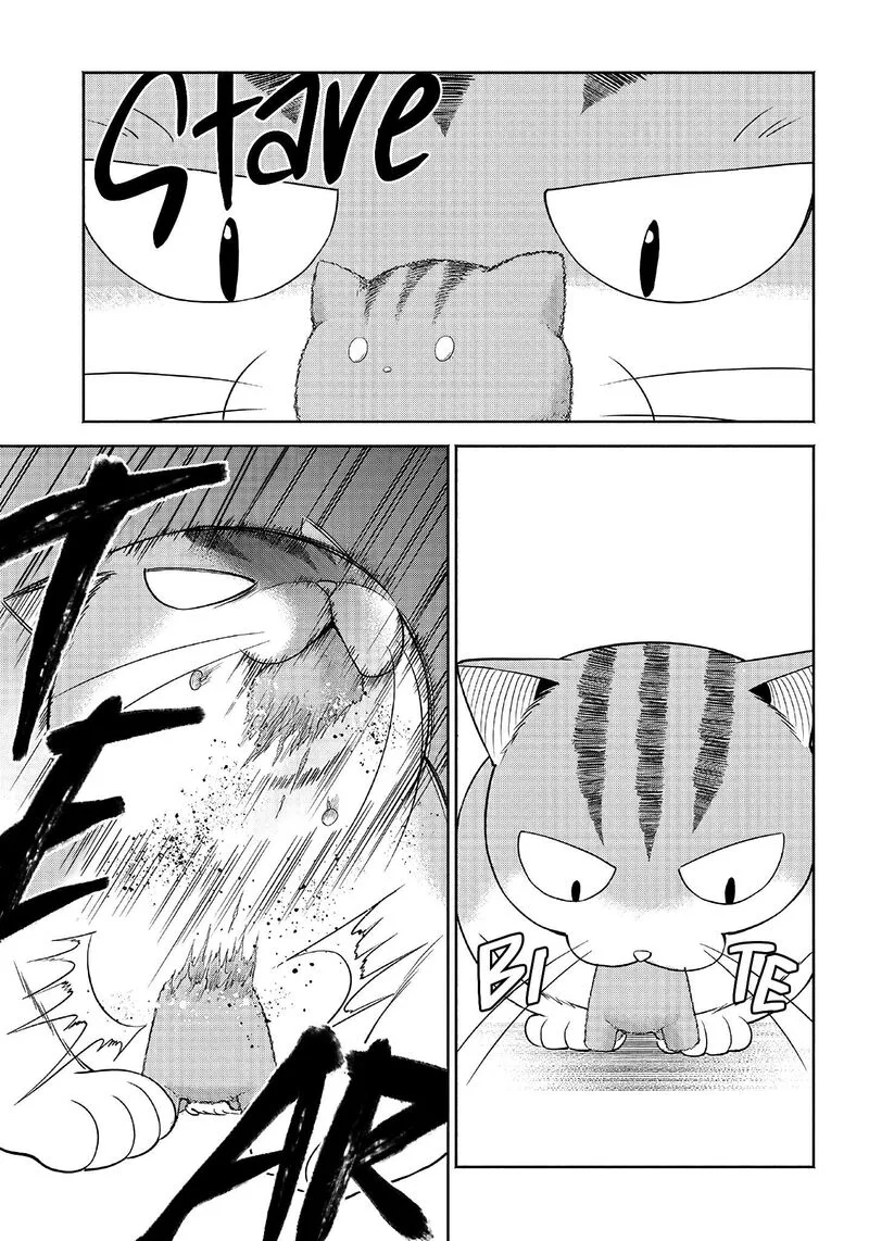 Neko ga Gotoku Chapter 9 page 11
