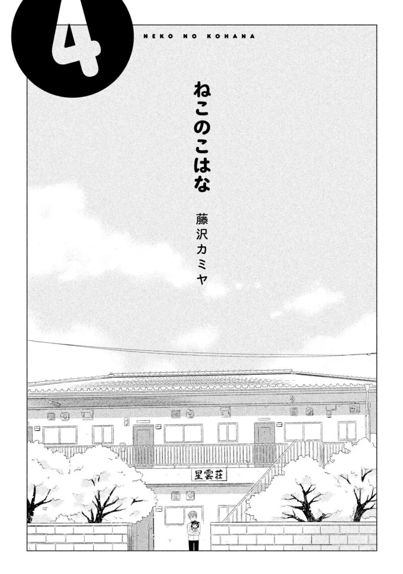 Neko no Kohana Chapter 30 page 3