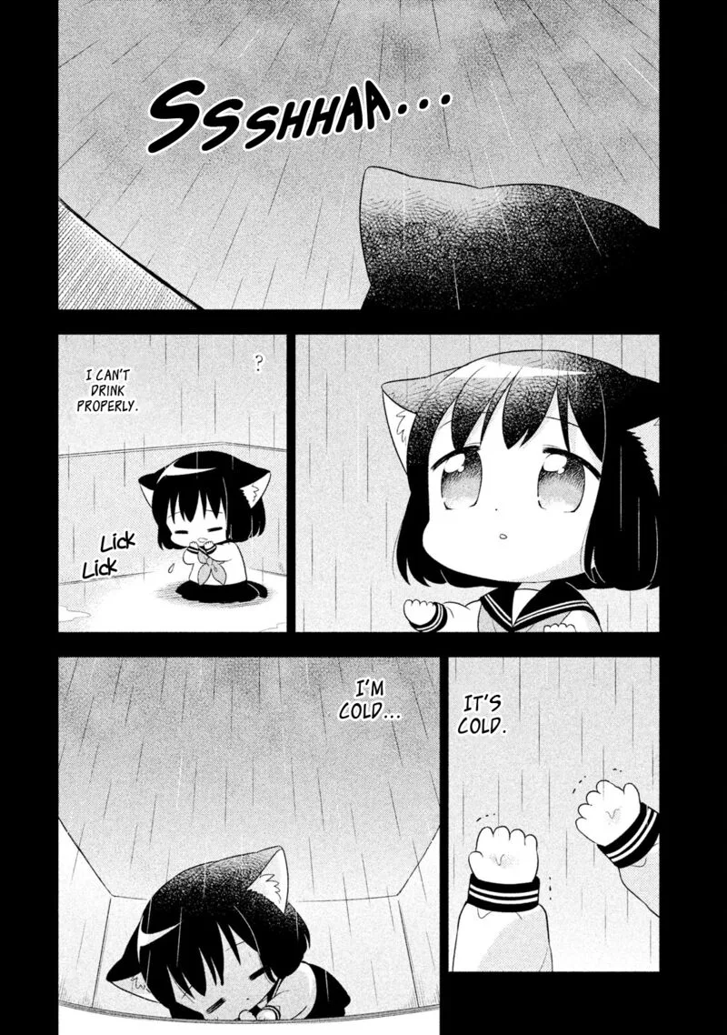 Neko no Kohana Chapter 37 page 3