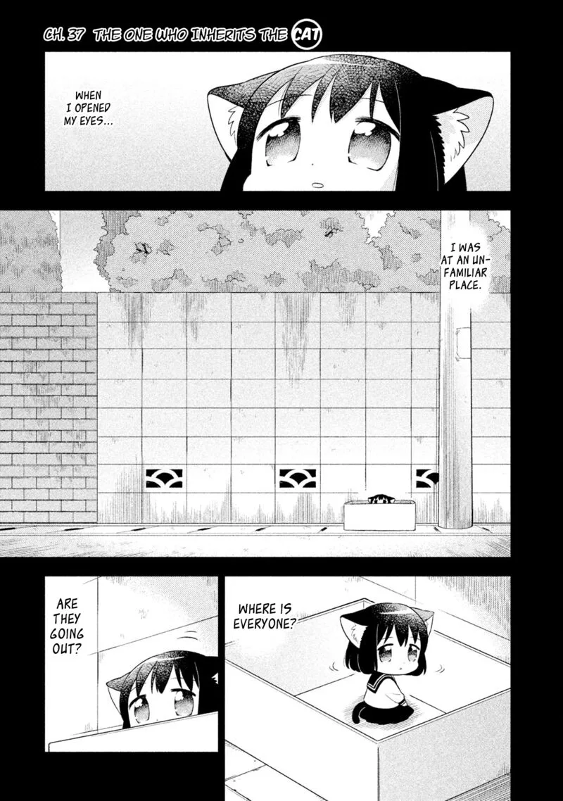 Neko no Kohana Chapter 37 page 1