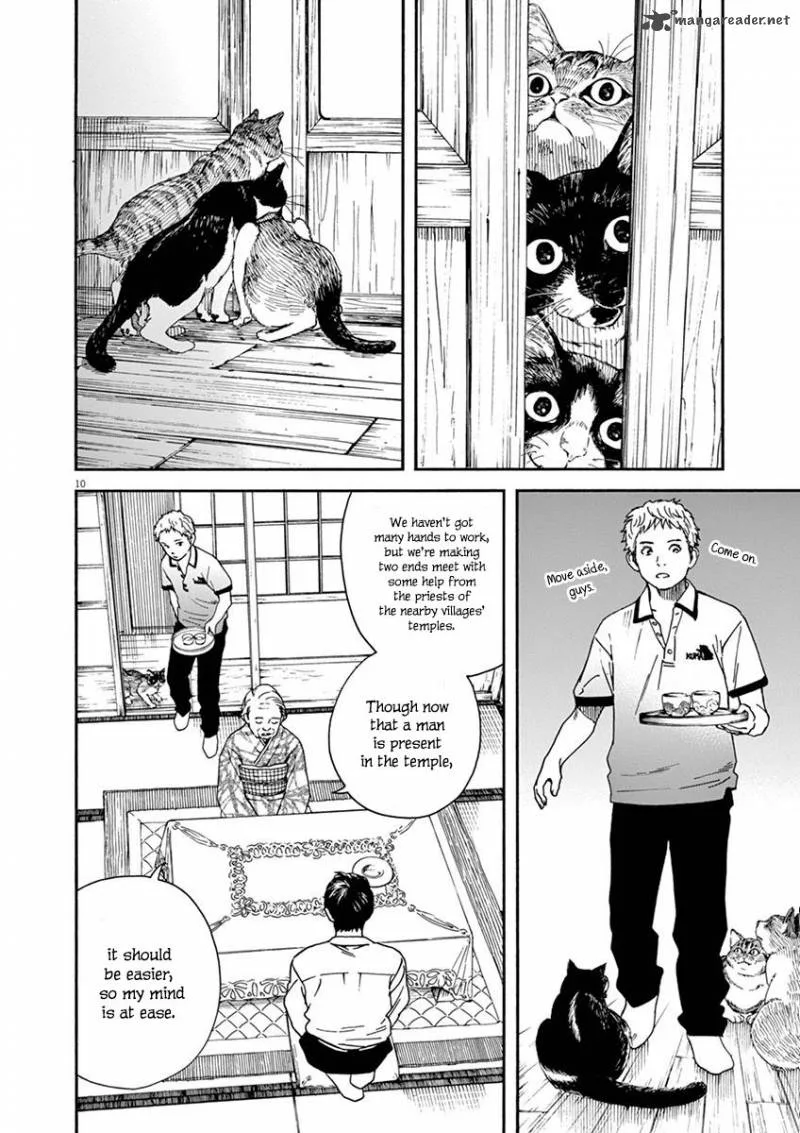 Neko no Otera no Chion-san Chapter 12 page 11