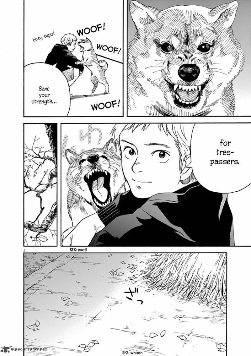 Neko no Otera no Chion-san Chapter 13 page 2