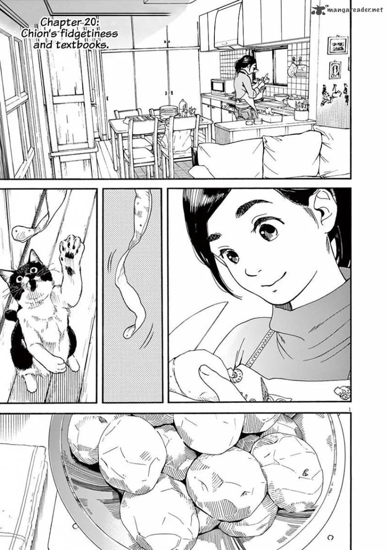 Neko no Otera no Chion-san Chapter 20 page 1