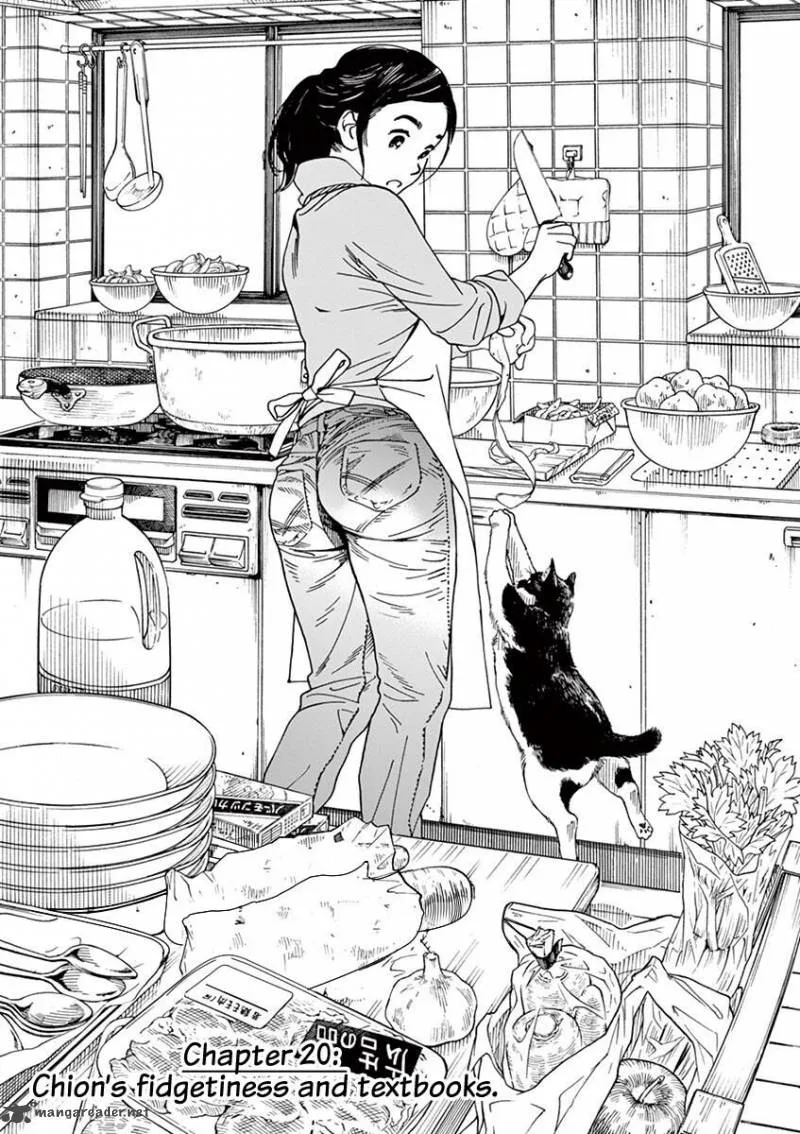Neko no Otera no Chion-san Chapter 20 page 3