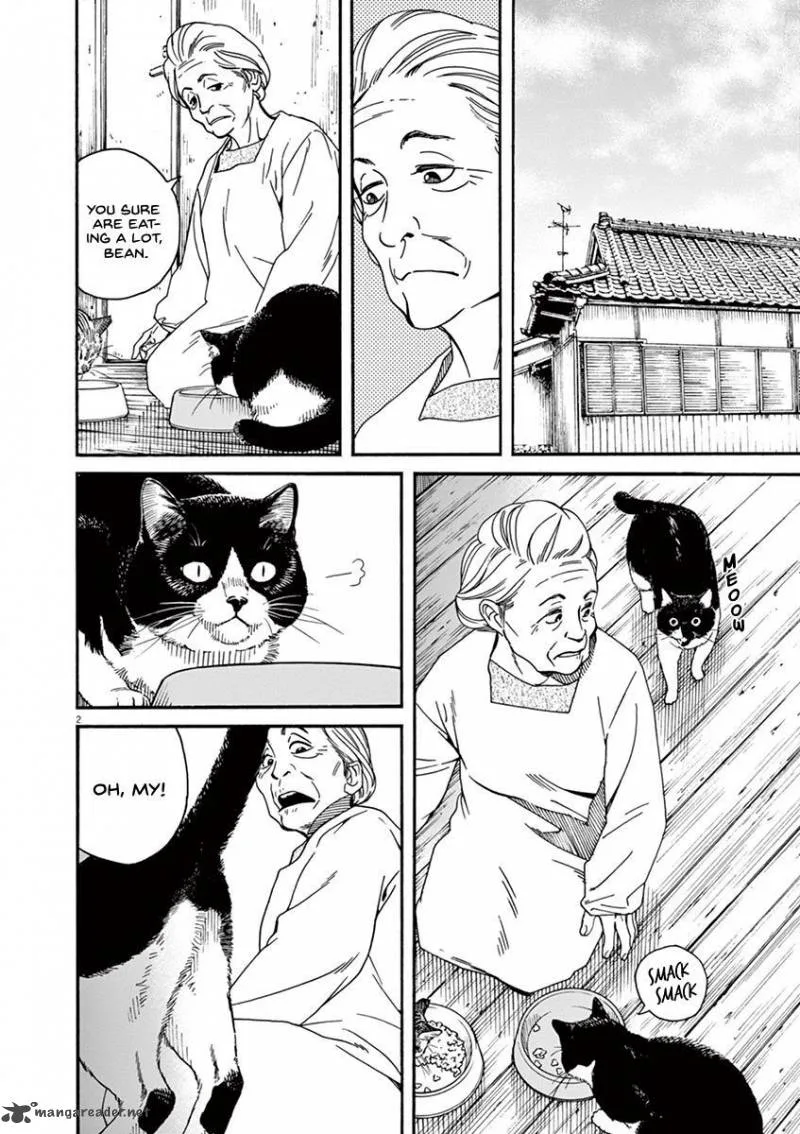 Neko no Otera no Chion-san Chapter 21 page 2