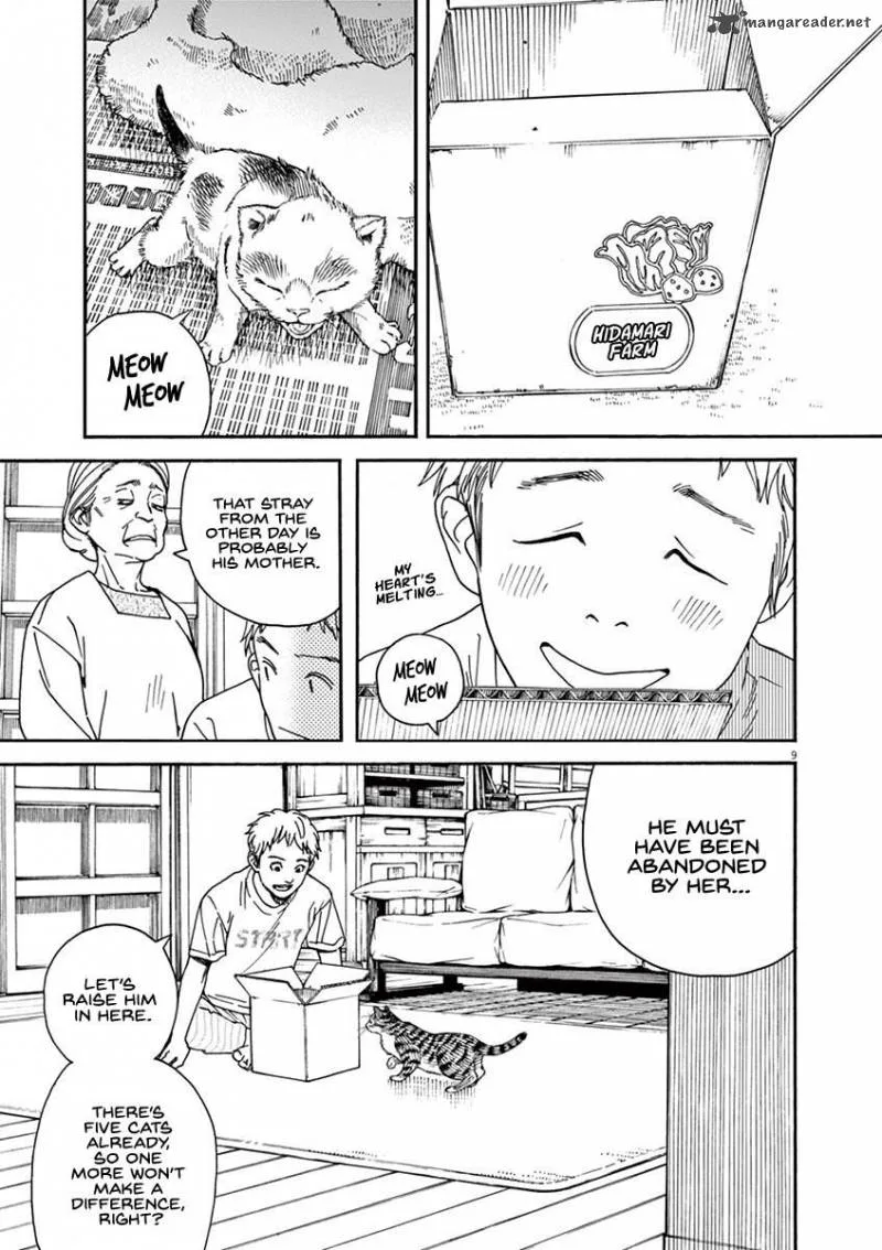 Neko no Otera no Chion-san Chapter 22 page 10