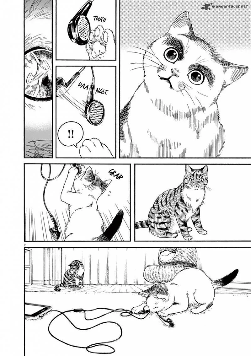 Neko no Otera no Chion-san Chapter 23 page 3