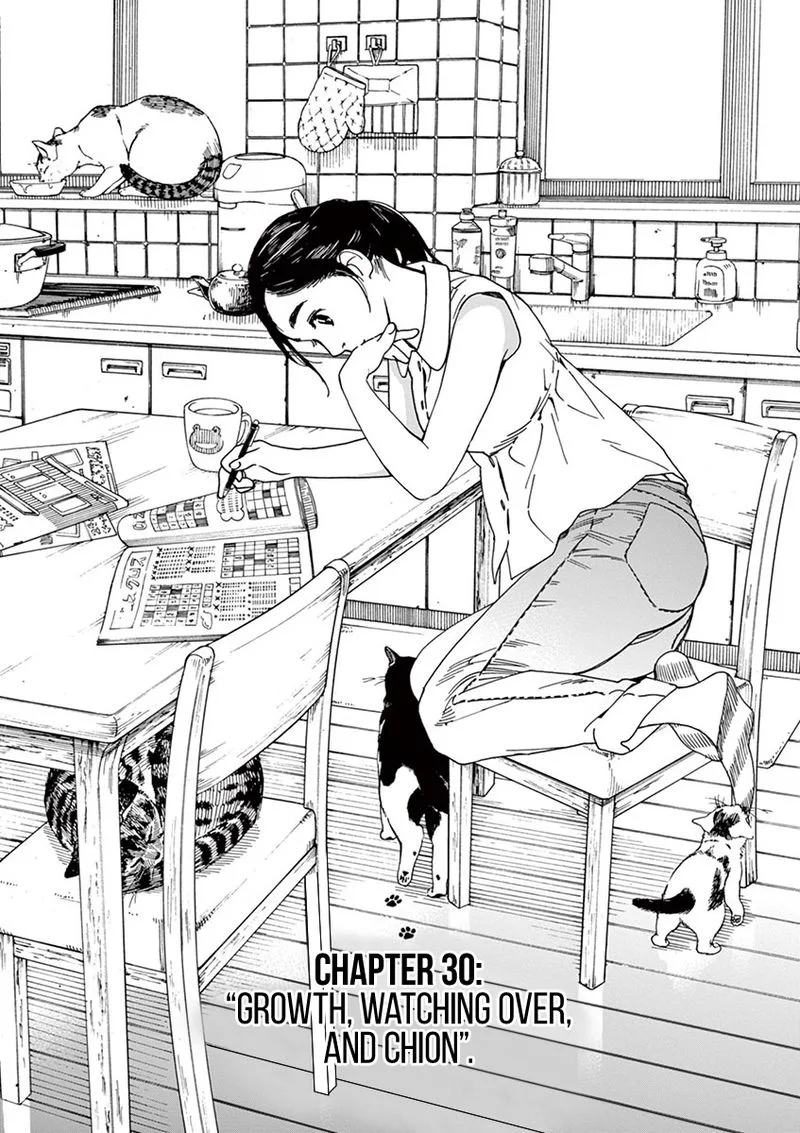 Neko no Otera no Chion-san Chapter 30 page 1