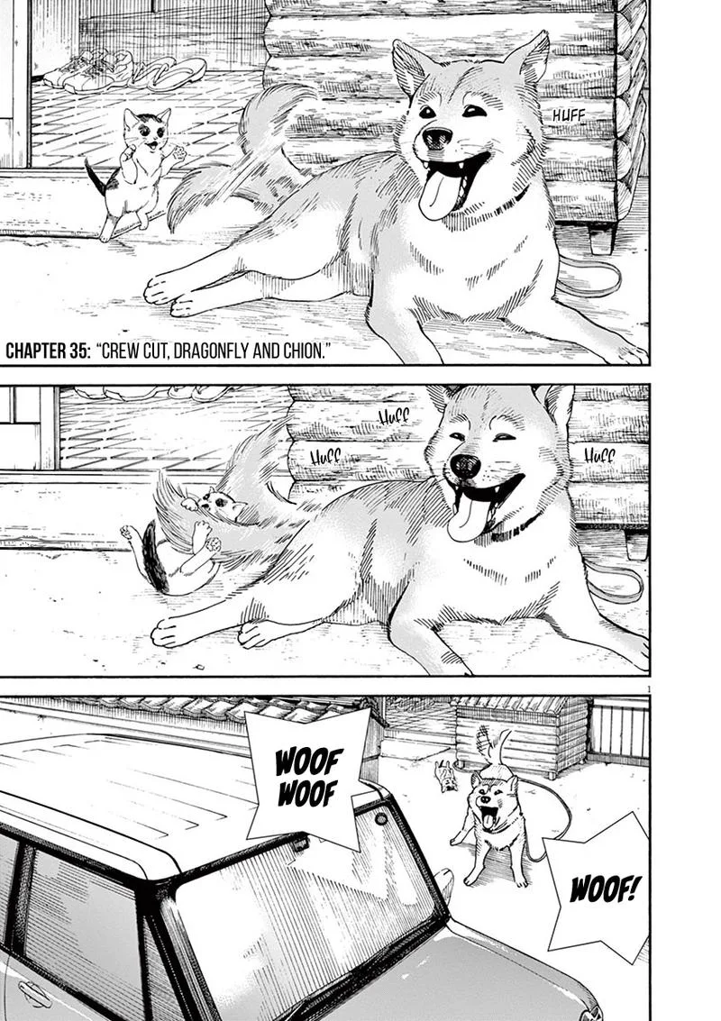 Neko no Otera no Chion-san Chapter 35 page 1