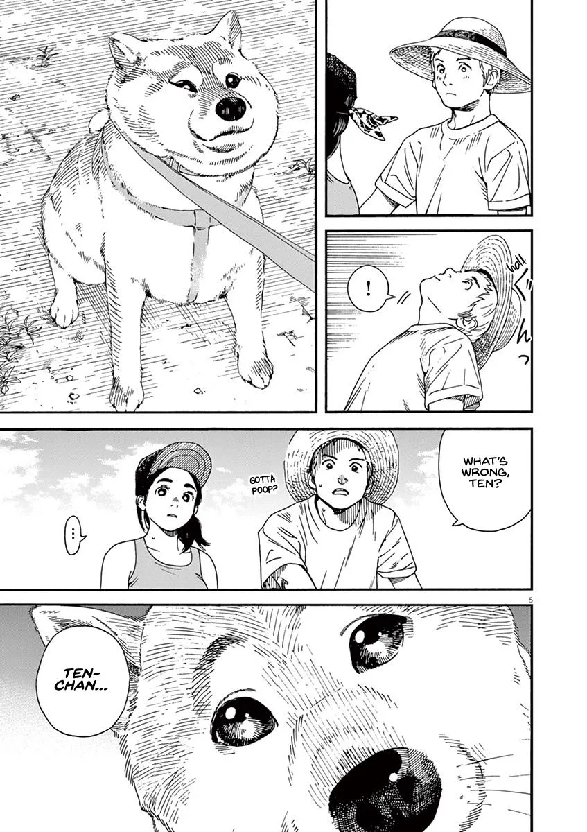 Neko no Otera no Chion-san Chapter 36 page 8