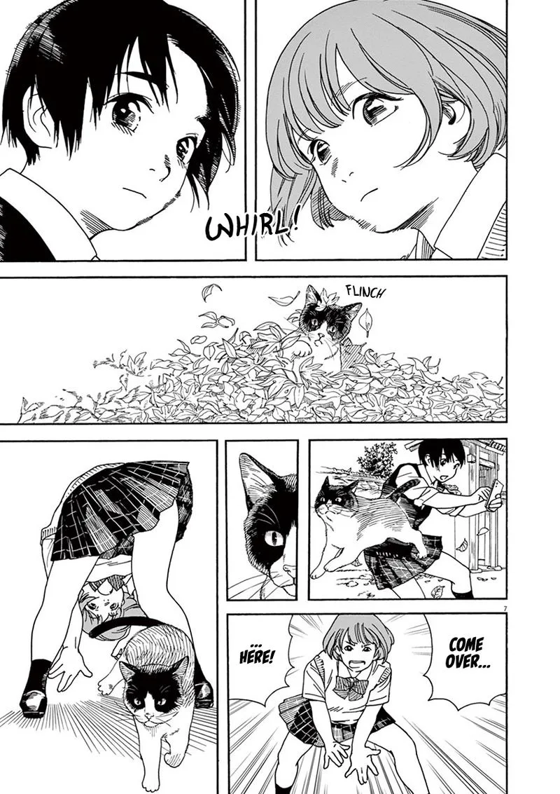 Neko no Otera no Chion-san Chapter 49 page 11