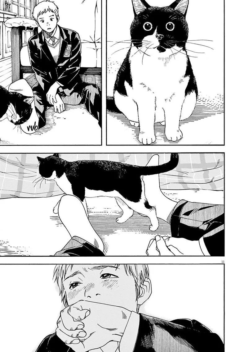 Neko no Otera no Chion-san Chapter 56 page 11