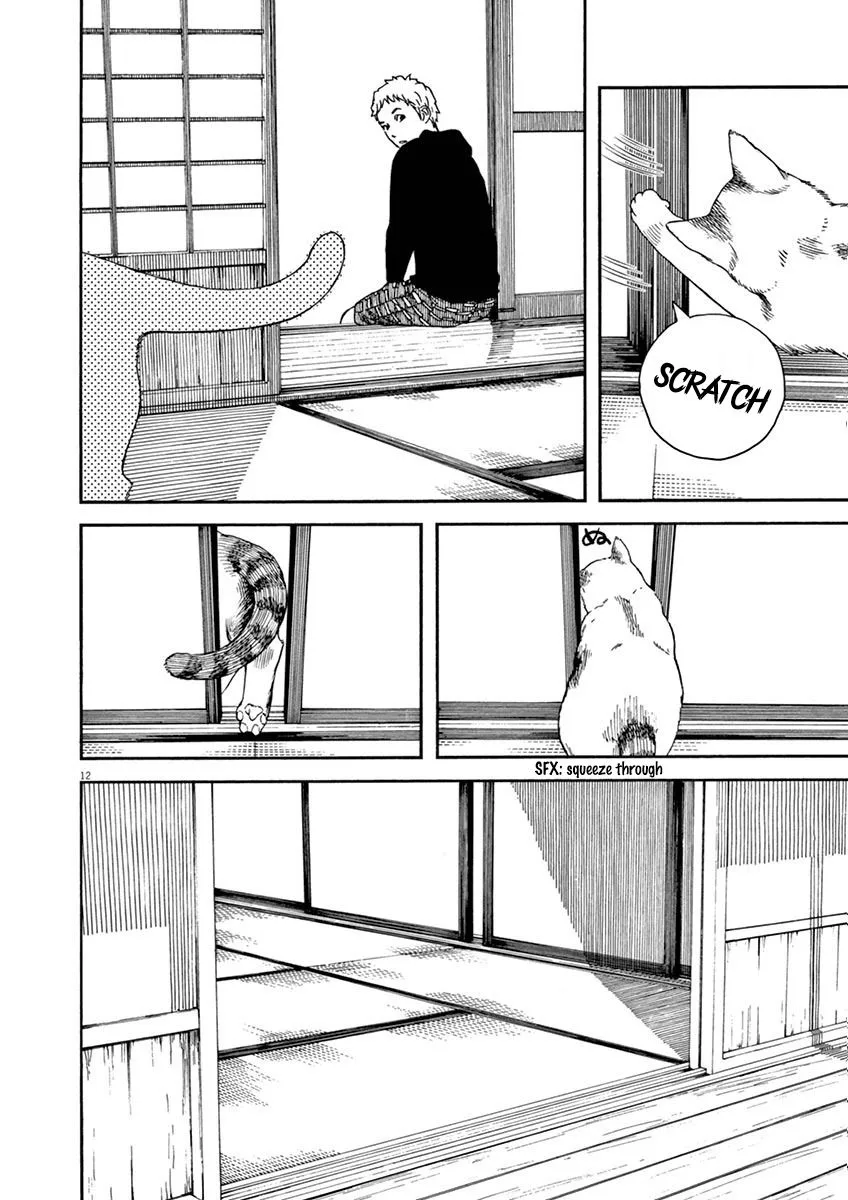 Neko no Otera no Chion-san Chapter 6 page 12