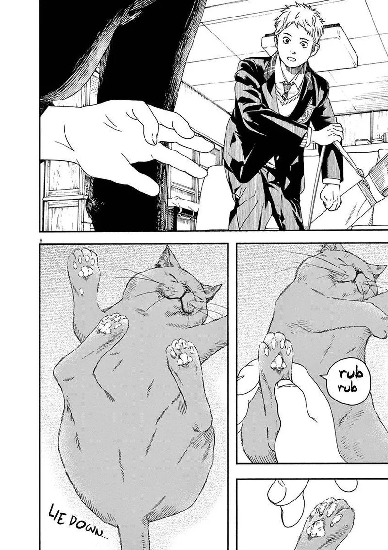 Neko no Otera no Chion-san Chapter 67 page 8