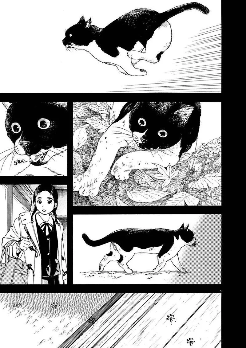 Neko no Otera no Chion-san Chapter 68 page 5