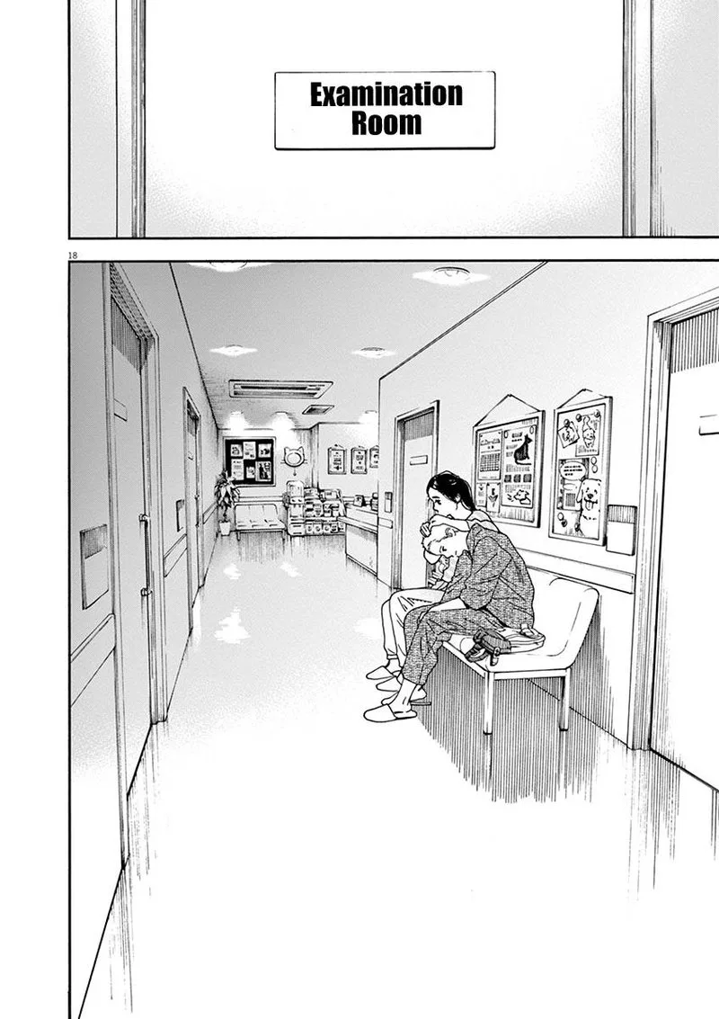 Neko no Otera no Chion-san Chapter 75 page 19