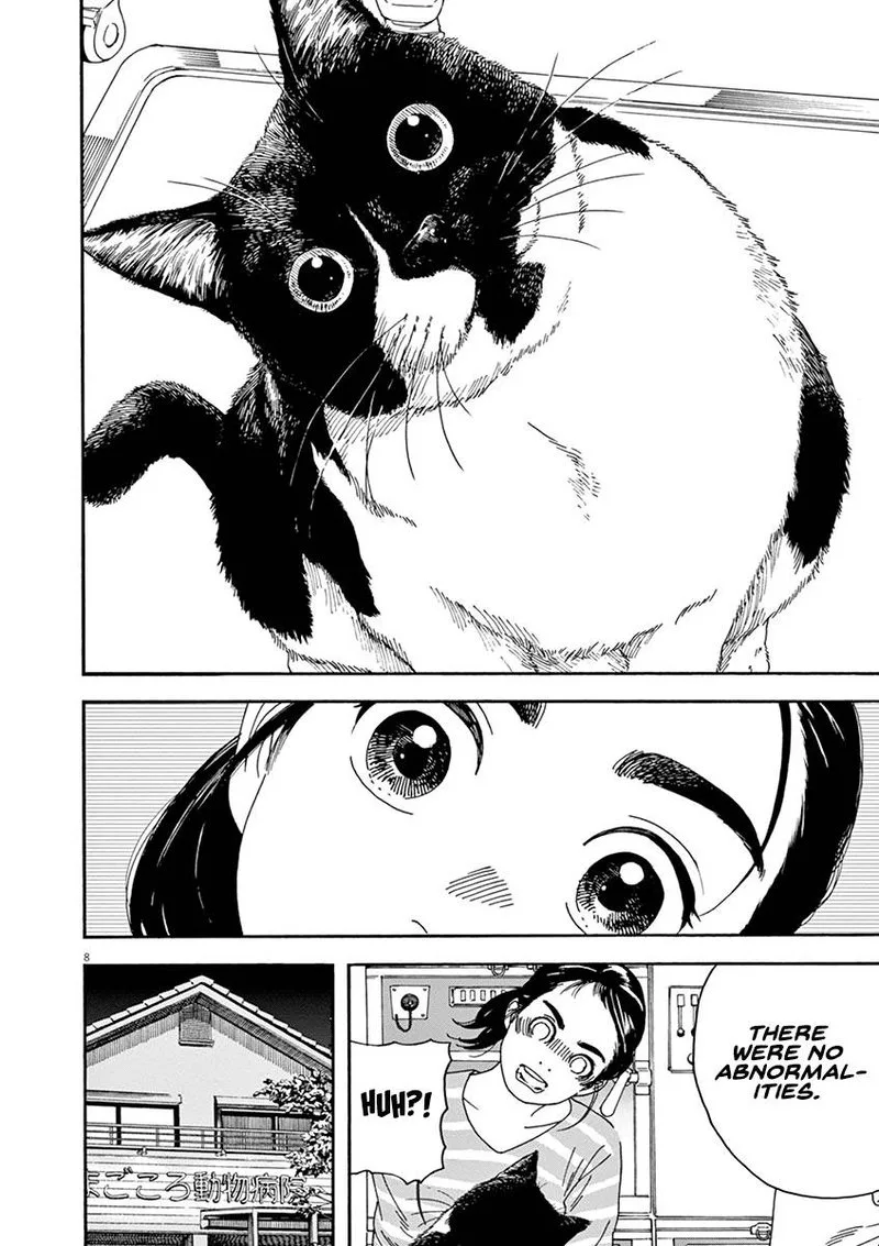 Neko no Otera no Chion-san Chapter 76 page 8