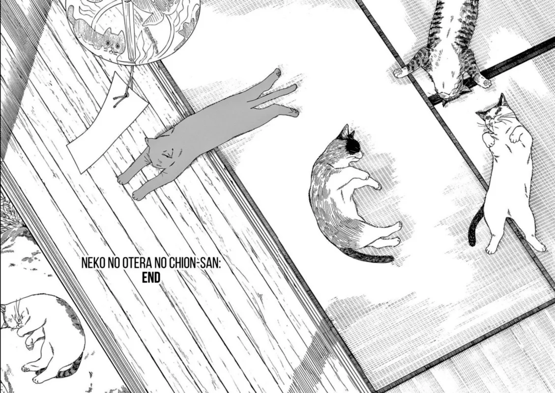 Neko no Otera no Chion-san Chapter 79 page 20
