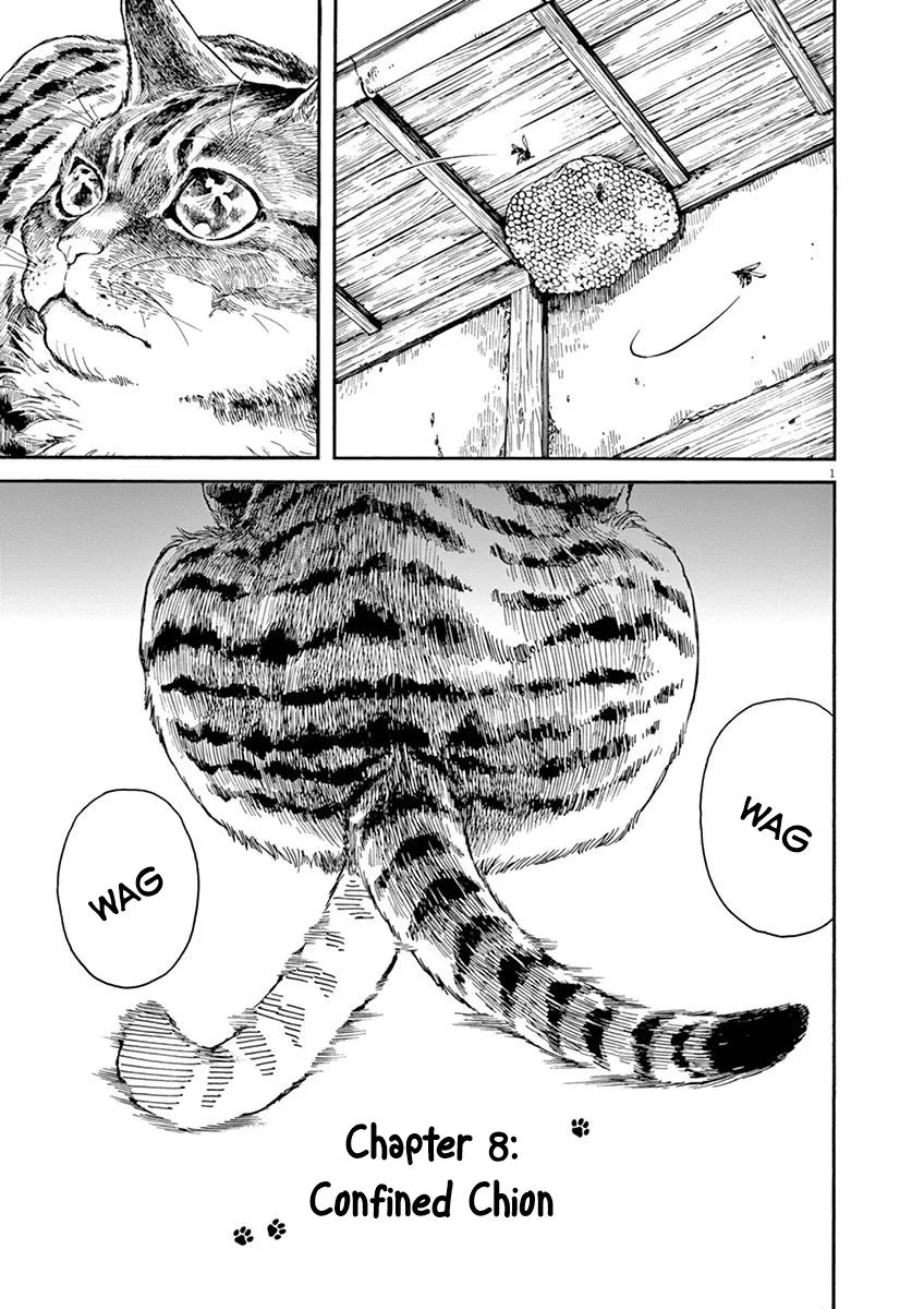 Neko no Otera no Chion-san Chapter 8 page 1
