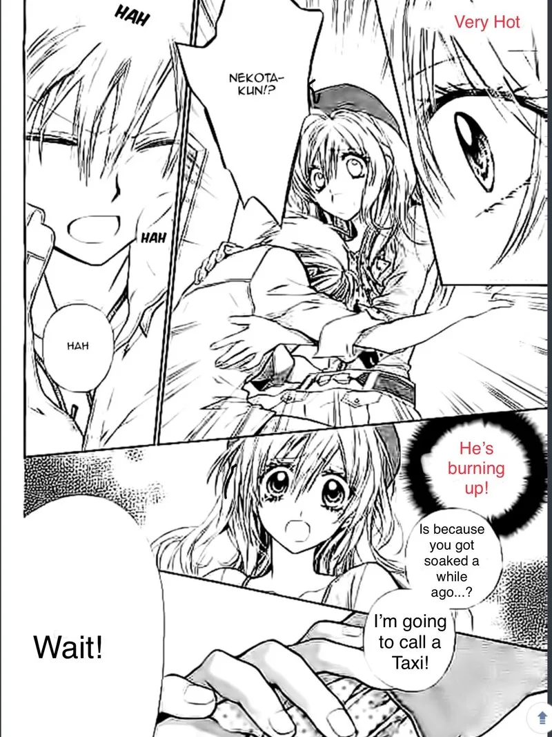 Neko to Watashi no Kinyoubi Chapter 19 page 13