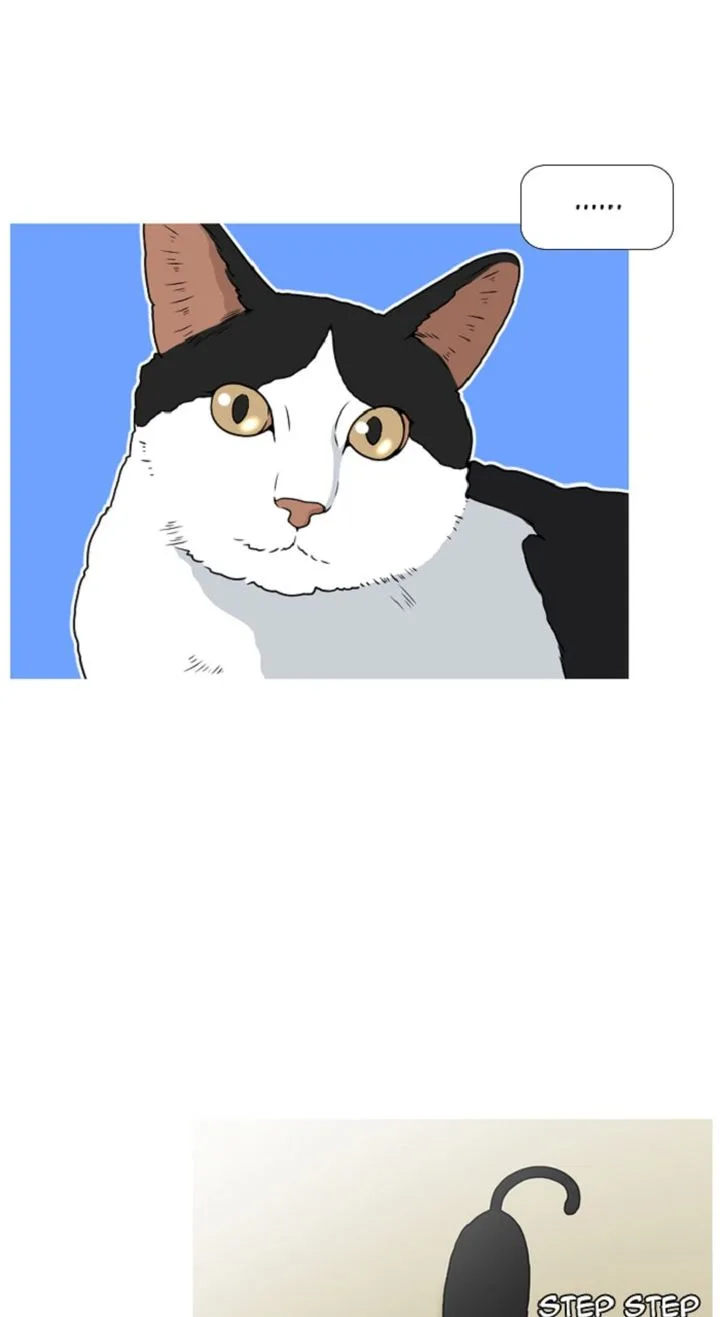 New Normal: Class 8 Chapter 311 page 35