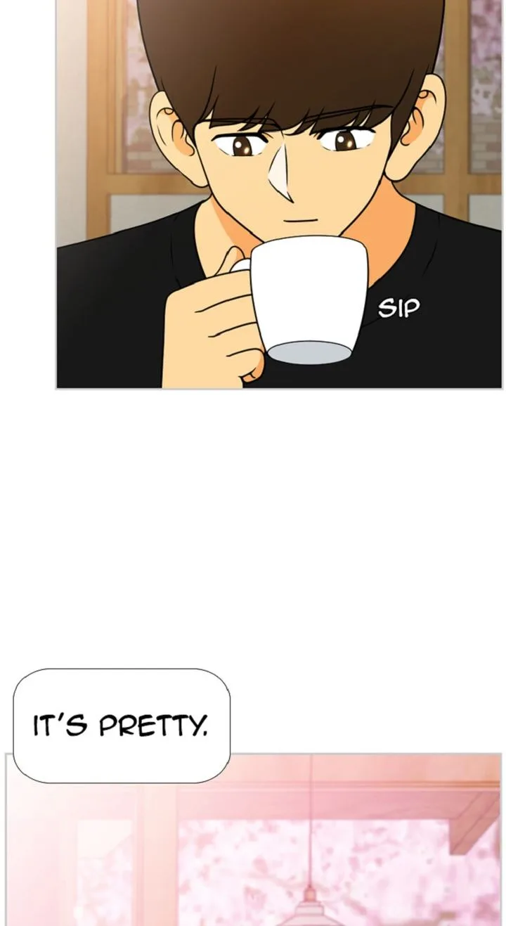 New Normal: Class 8 Chapter 315 page 13
