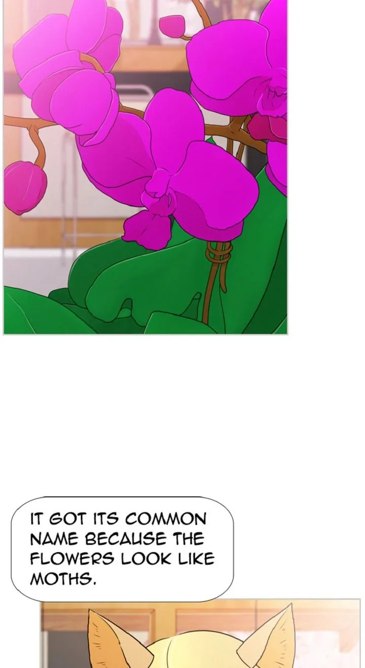 New Normal: Class 8 Chapter 315 page 16