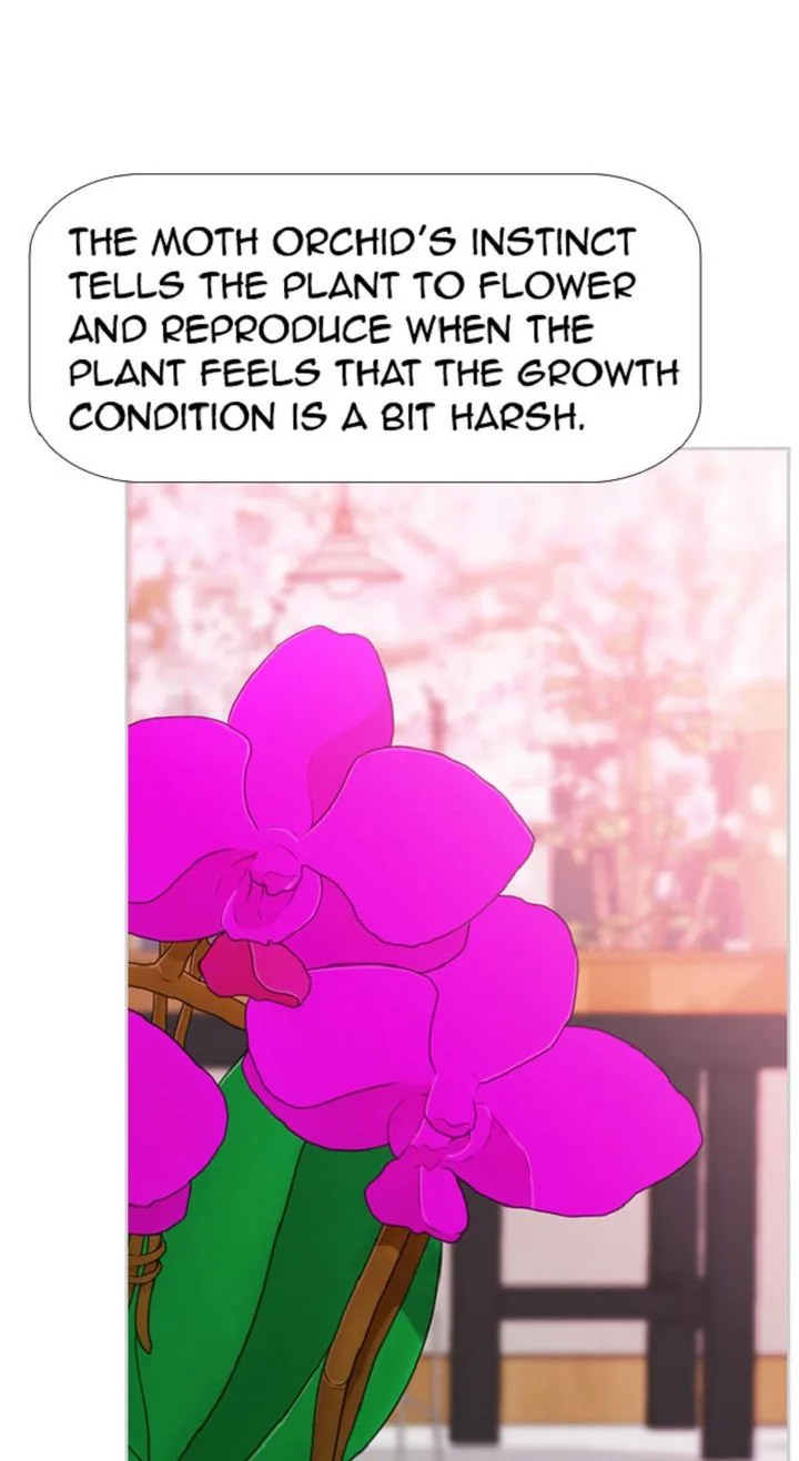 New Normal: Class 8 Chapter 315 page 21