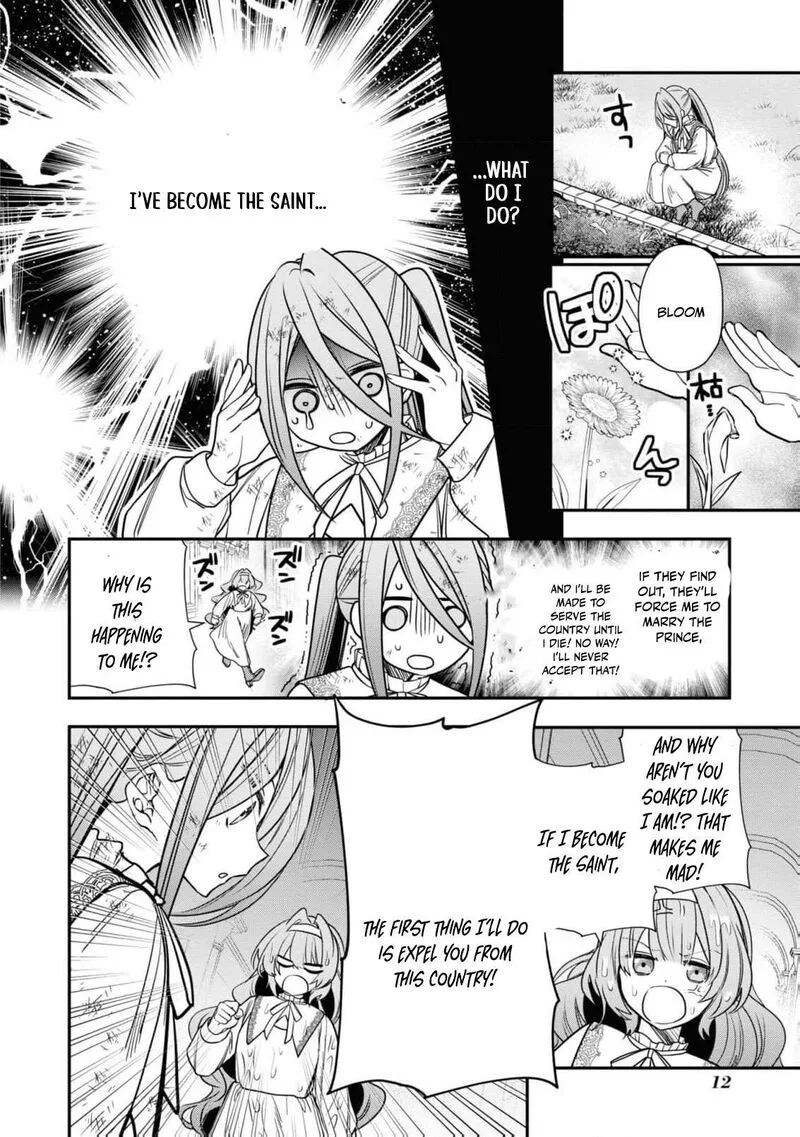 Nise Seijo da to Iwaremashita ga, Douyara Watashi ga Honmono no you desu ka? Chapter 1 page 15