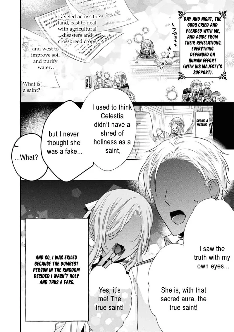 Nise Seijo da to Iwaremashita ga, Douyara Watashi ga Honmono no you desu ka? Chapter 11 page 11
