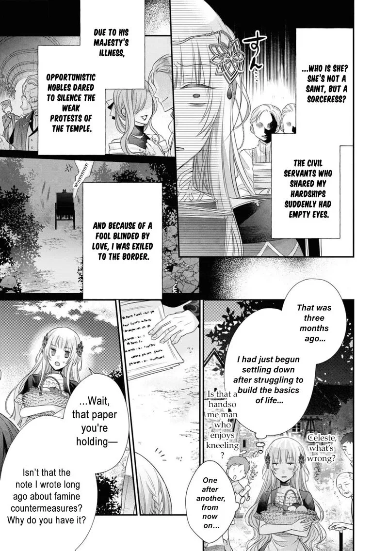Nise Seijo da to Iwaremashita ga, Douyara Watashi ga Honmono no you desu ka? Chapter 11 page 12
