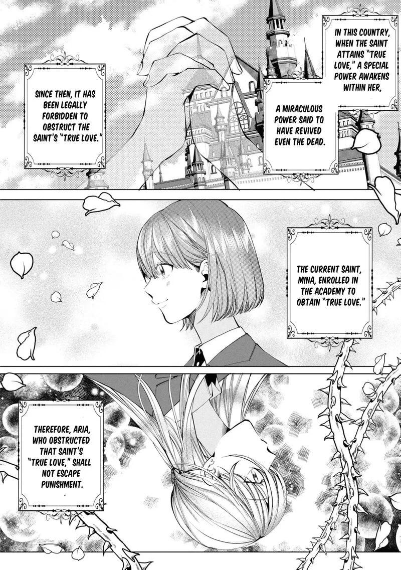 Nise Seijo da to Iwaremashita ga, Douyara Watashi ga Honmono no you desu ka? Chapter 12 page 10