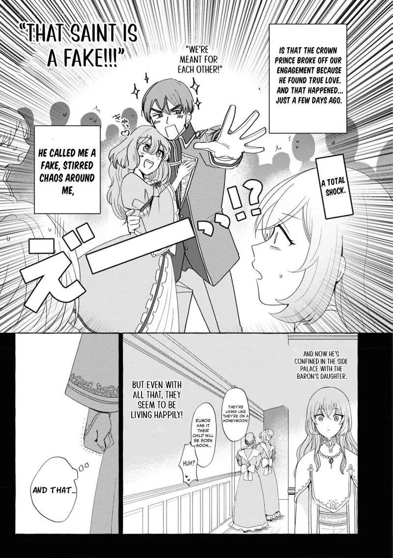 Nise Seijo da to Iwaremashita ga, Douyara Watashi ga Honmono no you desu ka? Chapter 13 page 9