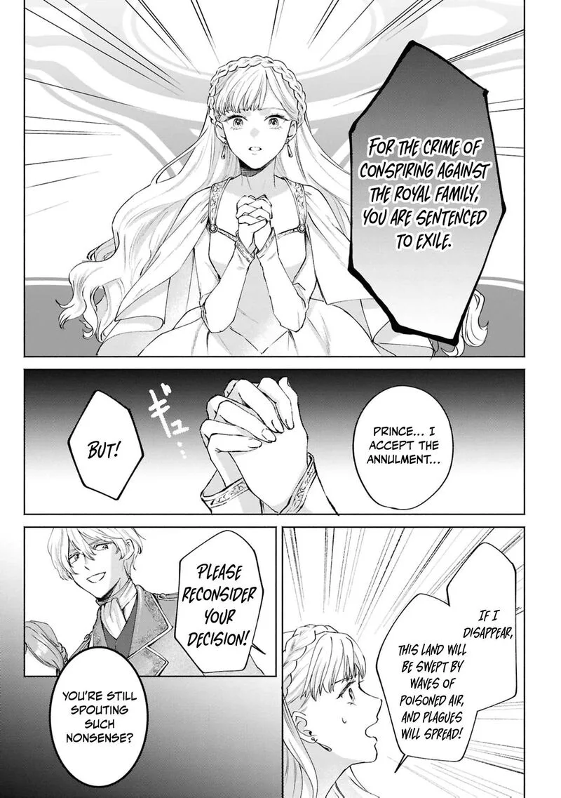 Nise Seijo da to Iwaremashita ga, Douyara Watashi ga Honmono no you desu ka? Chapter 17 page 10