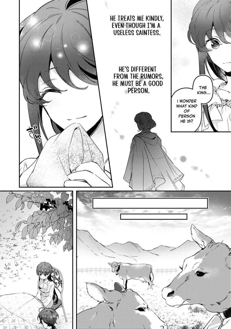 Nise Seijo da to Iwaremashita ga, Douyara Watashi ga Honmono no you desu ka? Chapter 18 page 17