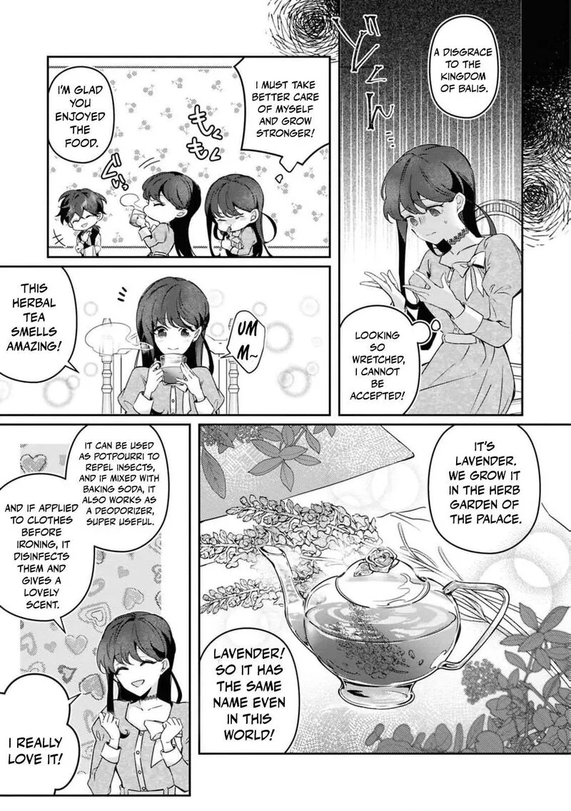 Nise Seijo da to Iwaremashita ga, Douyara Watashi ga Honmono no you desu ka? Chapter 18 page 14