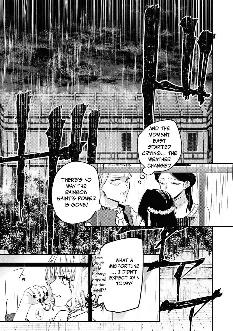 Nise Seijo da to Iwaremashita ga, Douyara Watashi ga Honmono no you desu ka? Chapter 19 page 16