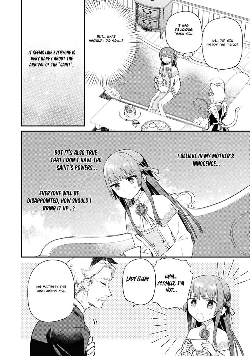 Nise Seijo da to Iwaremashita ga, Douyara Watashi ga Honmono no you desu ka? Chapter 20 page 17