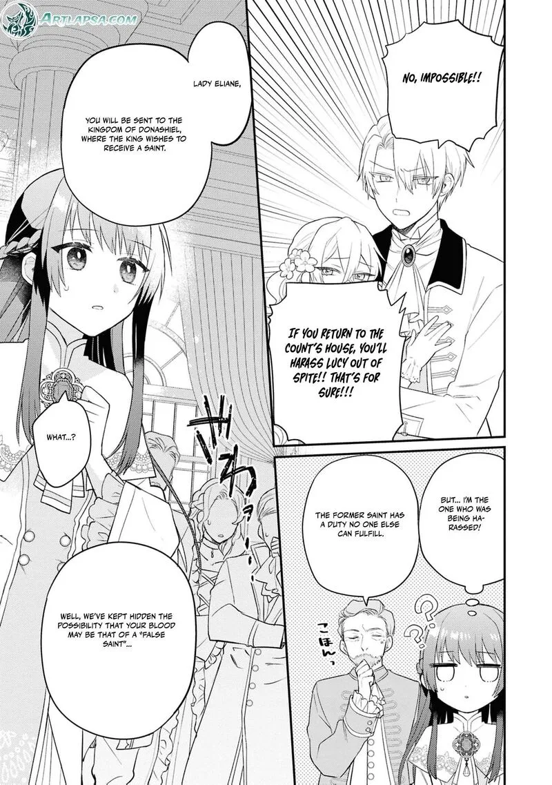 Nise Seijo da to Iwaremashita ga, Douyara Watashi ga Honmono no you desu ka? Chapter 20 page 10