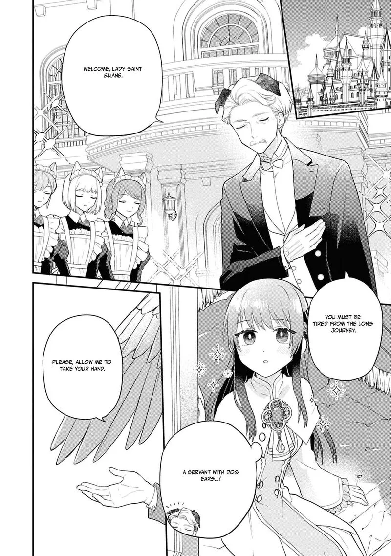 Nise Seijo da to Iwaremashita ga, Douyara Watashi ga Honmono no you desu ka? Chapter 20 page 15