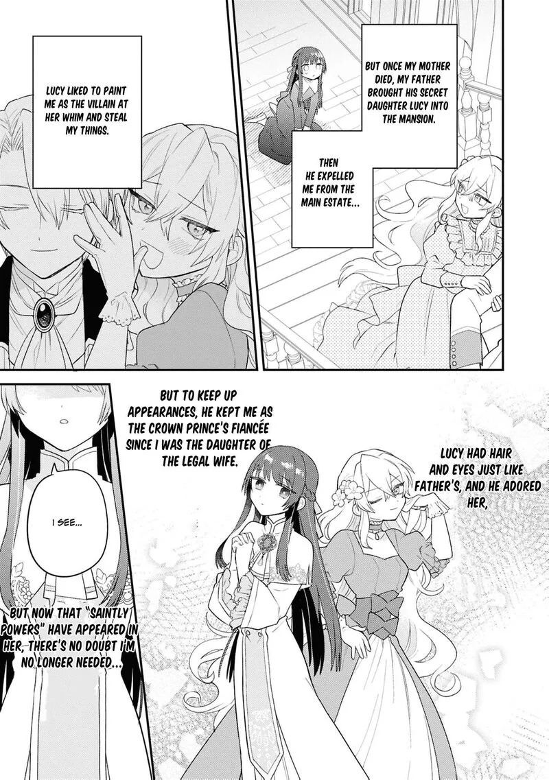 Nise Seijo da to Iwaremashita ga, Douyara Watashi ga Honmono no you desu ka? Chapter 20 page 8