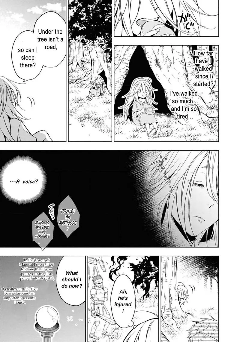 Nise Seijo da to Iwaremashita ga, Douyara Watashi ga Honmono no you desu ka? Chapter 21 page 14